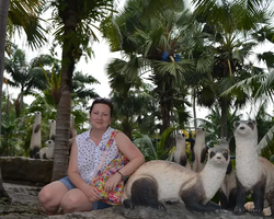 Nong Nooch Garden excursion in Thailand Pattaya - photo 93