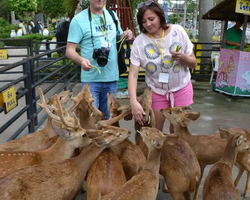 Nong Nooch Garden excursion 7 Countries in Thailand Pattaya photo 810