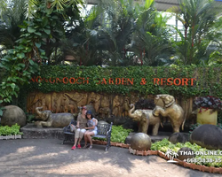 Nong Nooch Garden excursion in Thailand Pattaya - photo 400