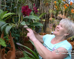 Nong Nooch Garden excursion 7 Countries in Thailand Pattaya photo 1267