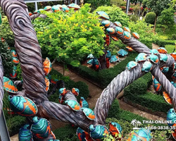 Nong Nooch Garden excursion in Thailand Pattaya - photo 18