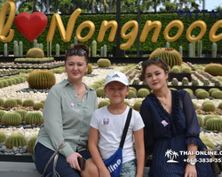 Nong Nooch Garden excursion 7 Countries in Thailand Pattaya photo 1354