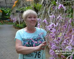 Nong Nooch Garden excursion 7 Countries in Thailand Pattaya photo 1297