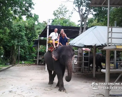 Nong Nooch Garden excursion 7 Countries in Thailand Pattaya photo 1274