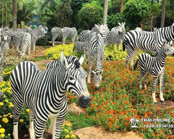 Nong Nooch Garden excursion in Thailand Pattaya - photo 16