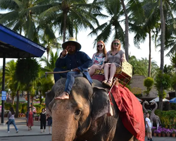 Nong Nooch Garden excursion in Thailand Pattaya - photo 456