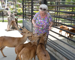 Nong Nooch Garden excursion 7 Countries in Thailand Pattaya photo 808