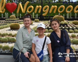 Nong Nooch Garden excursion 7 Countries in Thailand Pattaya photo 1384