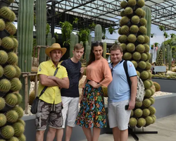 Nong Nooch Garden excursion 7 Countries in Thailand Pattaya photo 852