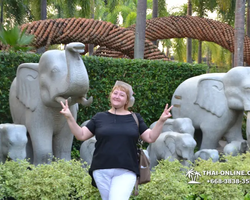 Nong Nooch Garden excursion 7 Countries in Thailand Pattaya photo 912