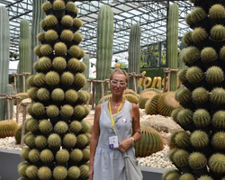 Nong Nooch Garden excursion in Thailand Pattaya - photo 269