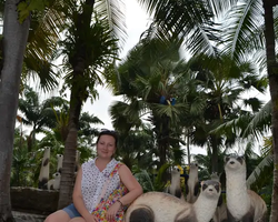 Nong Nooch Garden excursion in Thailand Pattaya - photo 65