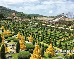 Nong Nooch Garden excursion in Thailand Pattaya - photo 88