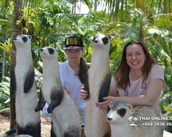 Nong Nooch Garden excursion 7 Countries in Thailand Pattaya photo 792