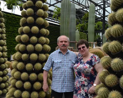 Nong Nooch Garden excursion in Thailand Pattaya - photo 469