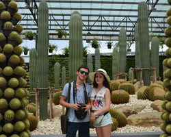 Nong Nooch Garden excursion 7 Countries in Thailand Pattaya photo 1447