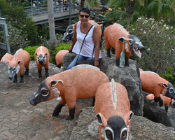 Nong Nooch Garden excursion 7 Countries in Thailand Pattaya photo 885