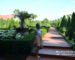 Nong Nooch Garden excursion 7 Countries in Thailand Pattaya photo 1740