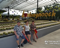 Nong Nooch Garden excursion 7 Countries in Thailand Pattaya photo 655