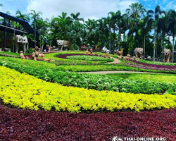 Nong Nooch Garden excursion in Thailand Pattaya - photo 6