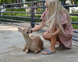 Nong Nooch Garden excursion 7 Countries in Thailand Pattaya photo 1200