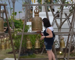 Nong Nooch Garden excursion 7 Countries in Thailand Pattaya photo 1915