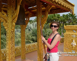 Nong Nooch Garden excursion in Thailand Pattaya - photo 498