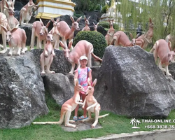 Nong Nooch Garden excursion 7 Countries in Thailand Pattaya photo 574