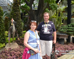 Nong Nooch Garden excursion in Thailand Pattaya - photo 454