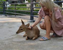 Nong Nooch Garden excursion 7 Countries in Thailand Pattaya photo 1248