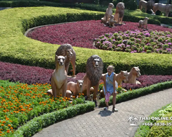 Nong Nooch Garden excursion in Thailand Pattaya - photo 57