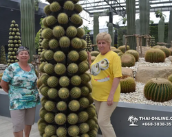 Nong Nooch Garden excursion 7 Countries in Thailand Pattaya photo 1410