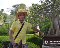 Nong Nooch Garden excursion 7 Countries in Thailand Pattaya photo 1317