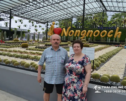 Nong Nooch Garden excursion in Thailand Pattaya - photo 422