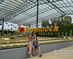 Nong Nooch Garden excursion in Thailand Pattaya - photo 277