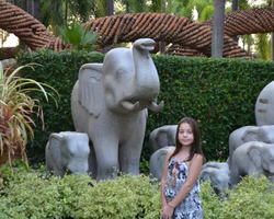 Nong Nooch Garden excursion in Thailand Pattaya - photo 223