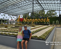 Nong Nooch Garden excursion 7 Countries in Thailand Pattaya photo 629