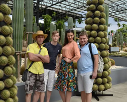 Nong Nooch Garden excursion 7 Countries in Thailand Pattaya photo 848