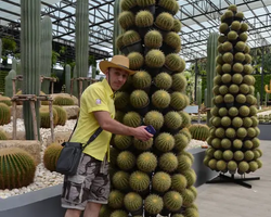 Nong Nooch Garden excursion 7 Countries in Thailand Pattaya photo 919