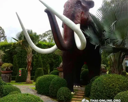 Nong Nooch Garden excursion 7 Countries in Thailand Pattaya photo 1112
