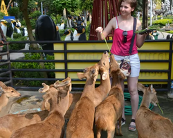 Nong Nooch Garden excursion 7 Countries in Thailand Pattaya photo 866