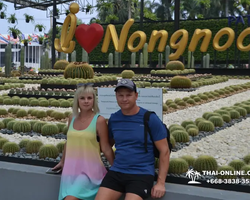 Nong Nooch Garden excursion 7 Countries in Thailand Pattaya photo 1337