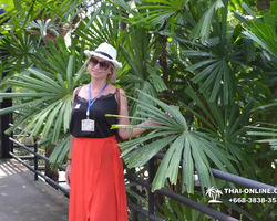 Nong Nooch Garden excursion 7 Countries in Thailand Pattaya photo 1192