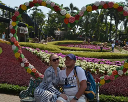 Nong Nooch Garden excursion 7 Countries in Thailand Pattaya photo 865