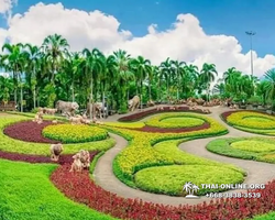 Nong Nooch Garden excursion in Thailand Pattaya - photo 2744