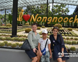 Nong Nooch Garden excursion 7 Countries in Thailand Pattaya photo 627