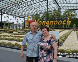 Nong Nooch Garden excursion in Thailand Pattaya - photo 254