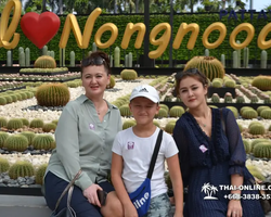 Nong Nooch Garden excursion 7 Countries in Thailand Pattaya photo 1376