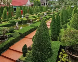 Nong Nooch Garden excursion 7 Countries in Thailand Pattaya photo 1116