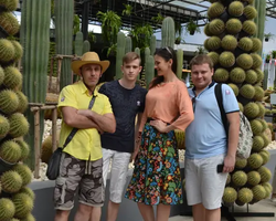 Nong Nooch Garden excursion 7 Countries in Thailand Pattaya photo 999